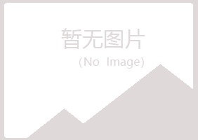 龙岩新波能源有限公司